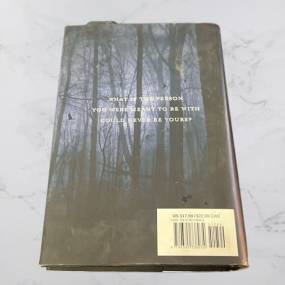 Fallen - Lauren Kate - Hardback - Picture 4 of 5